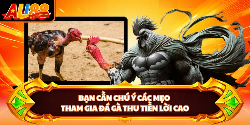 Bạn cần chú ý các mẹo tham gia đá gà thu tiền lời cao