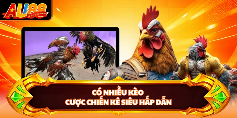 Có nhiều kèo cược chiến kê siêu hấp dẫn